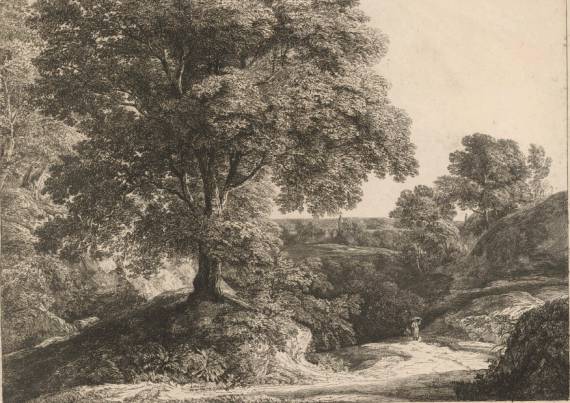 Wooded Landscape (1819)