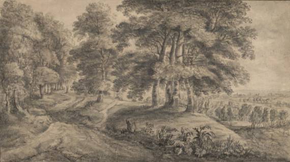 Wooded Landscape