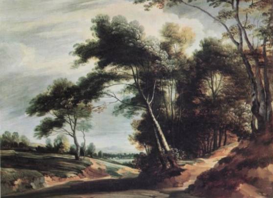 A Wooded Landscape