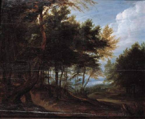 A Wooded Landscape 