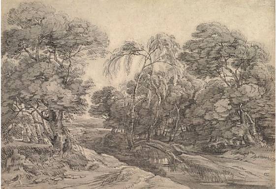 Forest Landscape