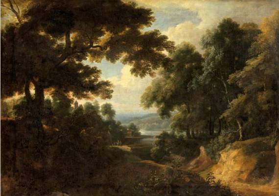 Forest Landscape