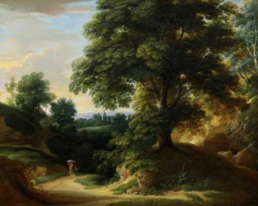 Hilly Landscape