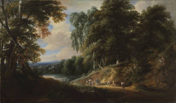 Forest Landscape