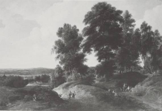 A Wooded Landscape