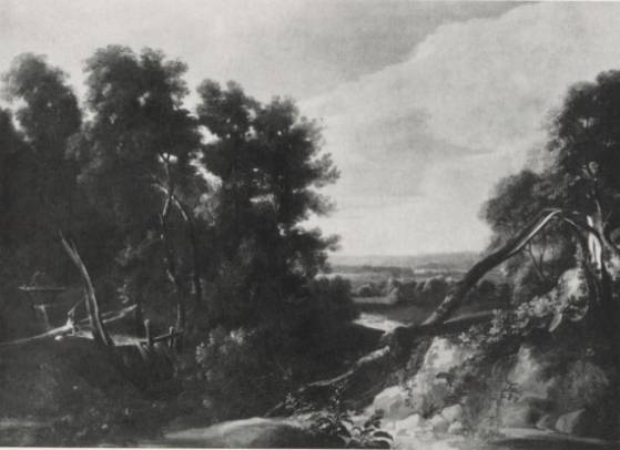 Landscape with Teared Trunks