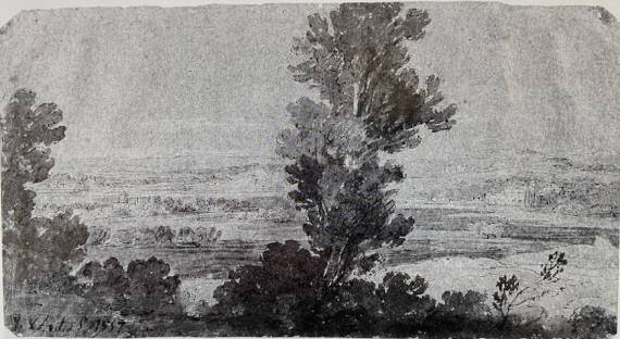 Extensive Wooded Landscape