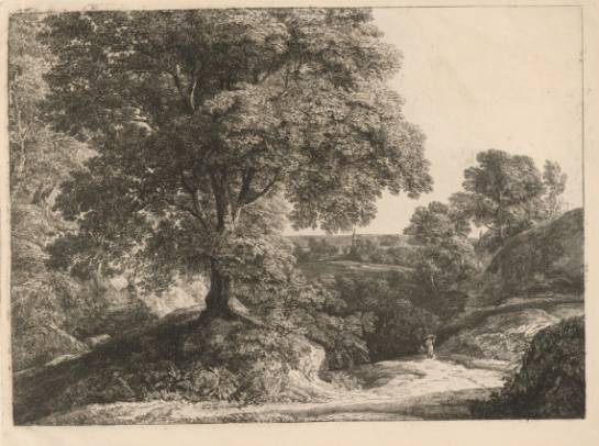 Wooded Landscape (1817-1890)