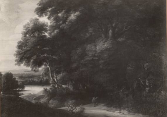 Wooded Landscape