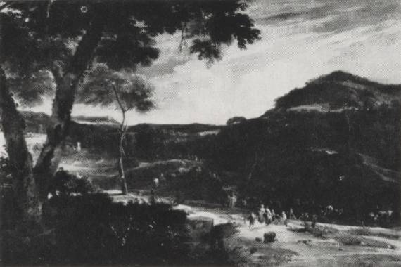 Extensive Landscape