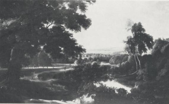 Panoramic Wooded Landscape with Ponds