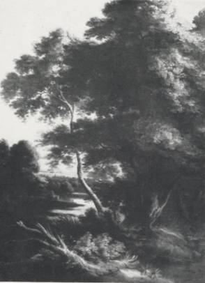 Wooded River Landscape