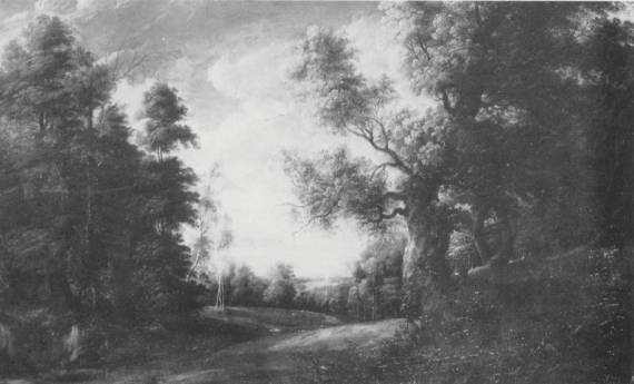 A Wooded Landscape