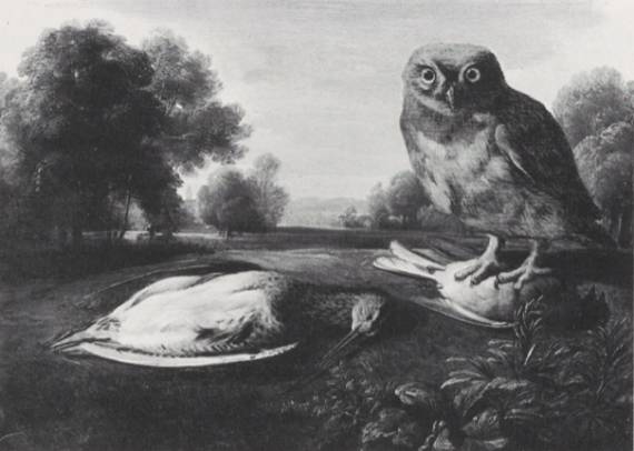 Woodcock and Owl in a Landscape