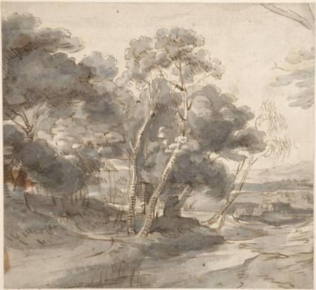 A Wooded Landscape