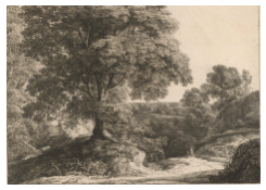 Work 1070: Wooded Landscape (1819)