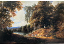 CB 6109: Forest Landscape Work 6109: Forest Landscape