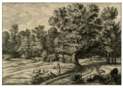 Work 6625: Cattle and Pigs Herders in a Wooded Landscape (I)