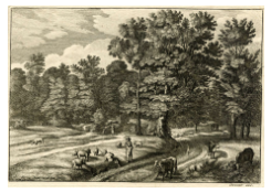 prints CB:6626 Cattle and Pigs Herders in a Wooded Landscape (II)