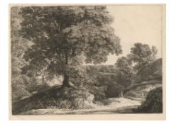 Work 6659: Wooded Landscape (1817-1890)