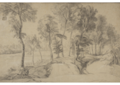 Landscape with Trees by the Water