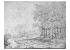 Work 7062: Road Lined with Large Trees on the Right