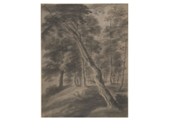 Work 943: Forest Scene with Tree in the Foreground