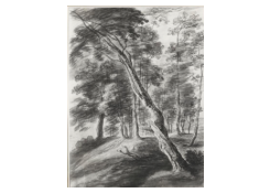 Work 943: Forest Scene with Tree in the Foreground