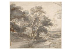 A Wooded Landscape