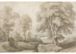 Work 954: Wooded Landscape 